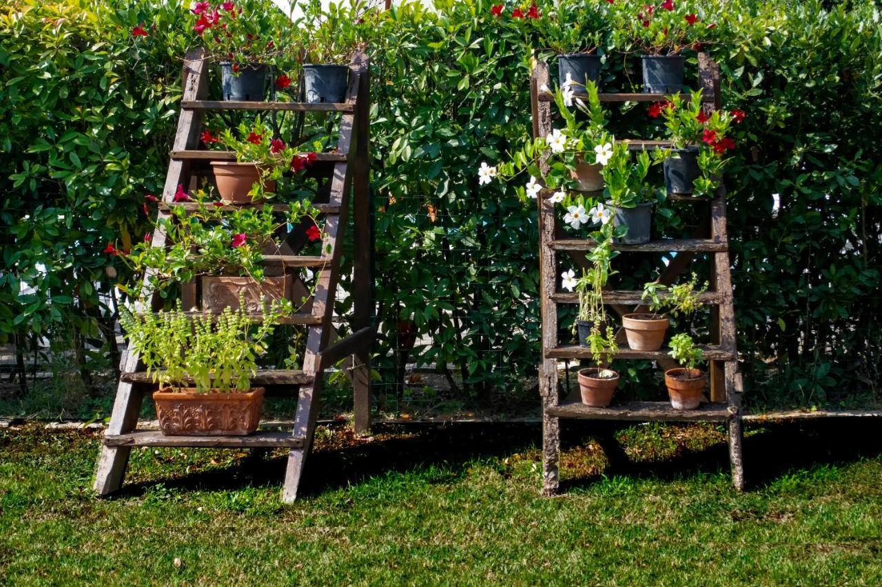 Tenuta Di Ghizzano Resort Exterior foto